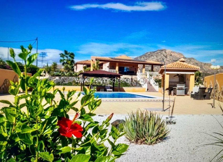 Reventa - Casa de campo - Finca - Albatera