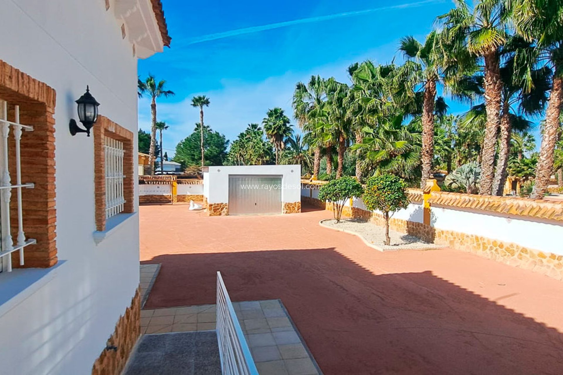Reventa - Casa de campo - Finca - Catral