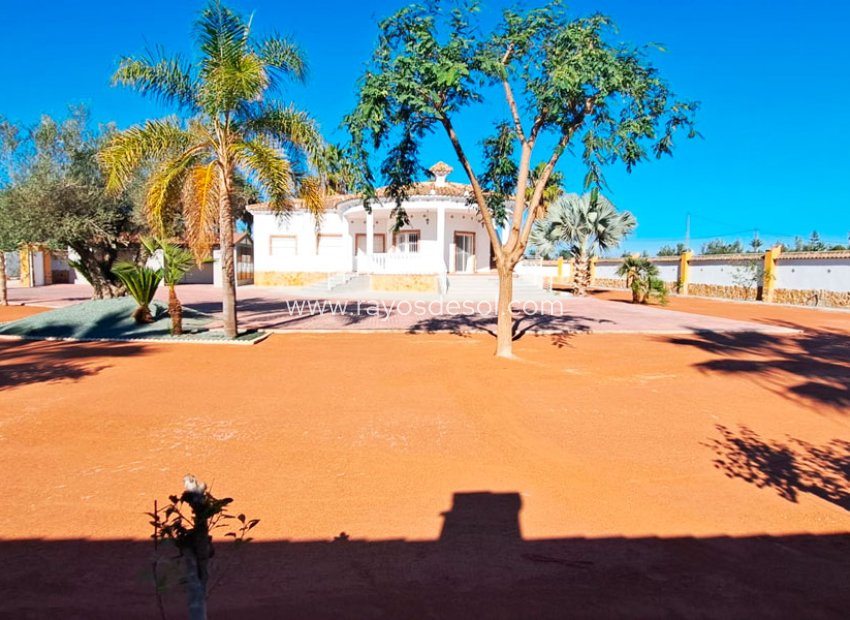 Reventa - Casa de campo - Finca - Catral