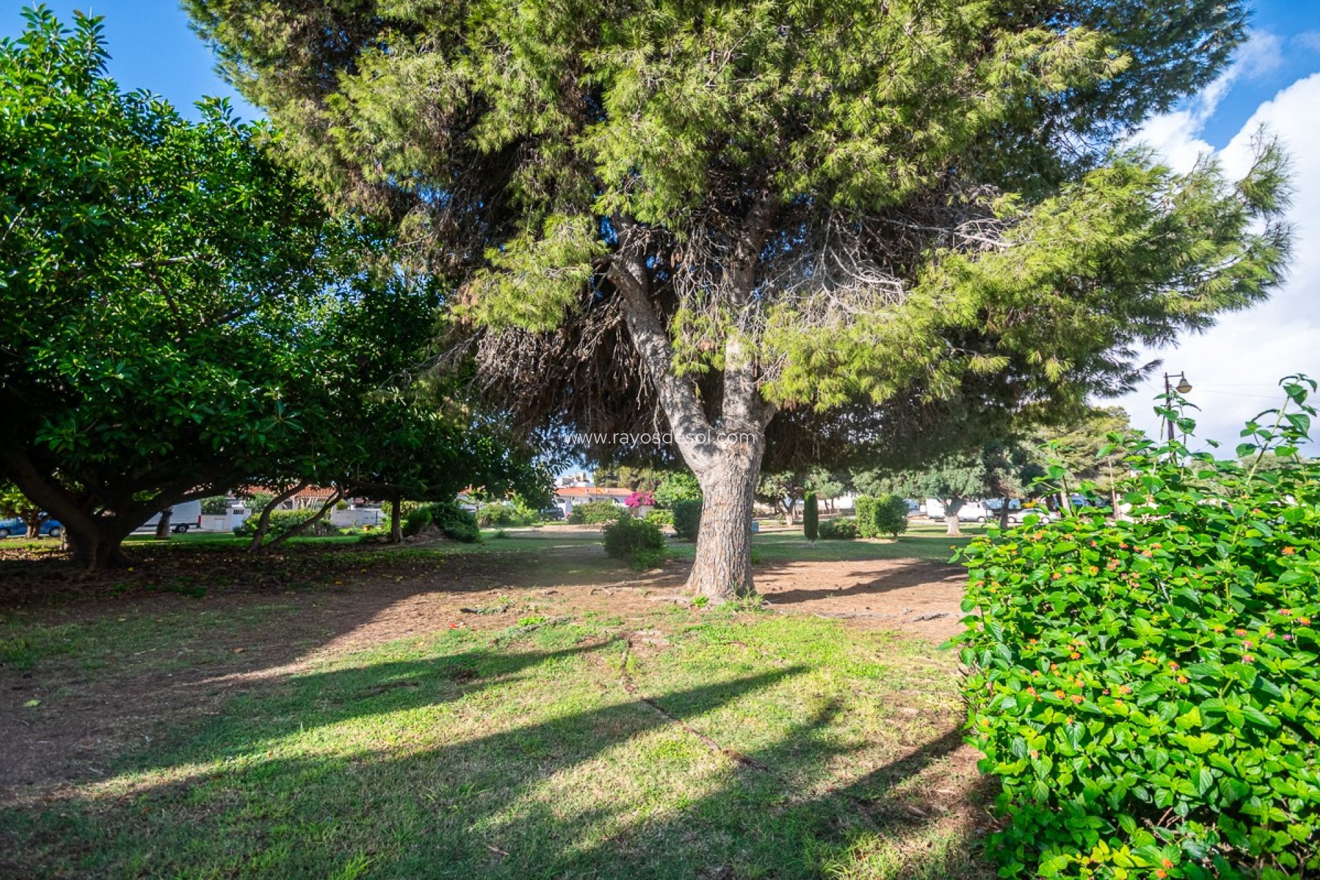 Reventa - Casa - Torrevieja - Calas Blancas