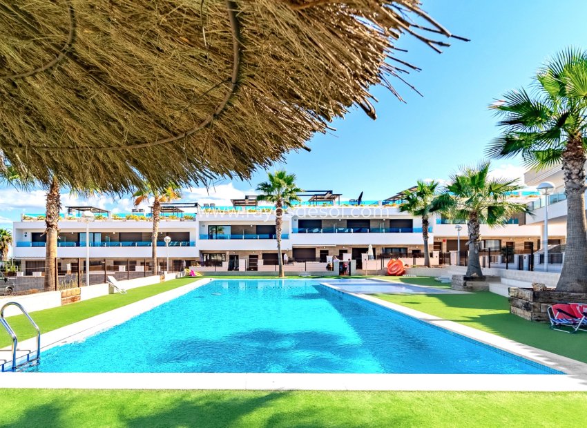 Reventa - Casa - Torrevieja - Los Balcones