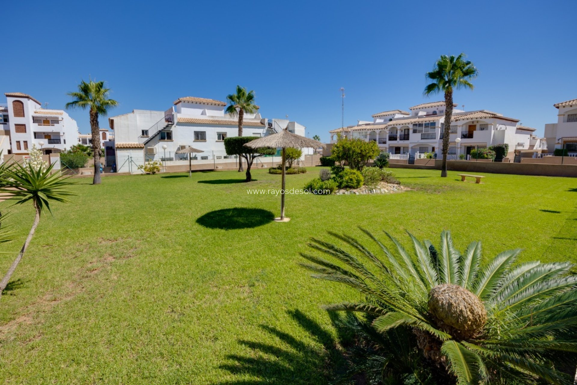 Reventa - Casa - Torrevieja - Punta Prima