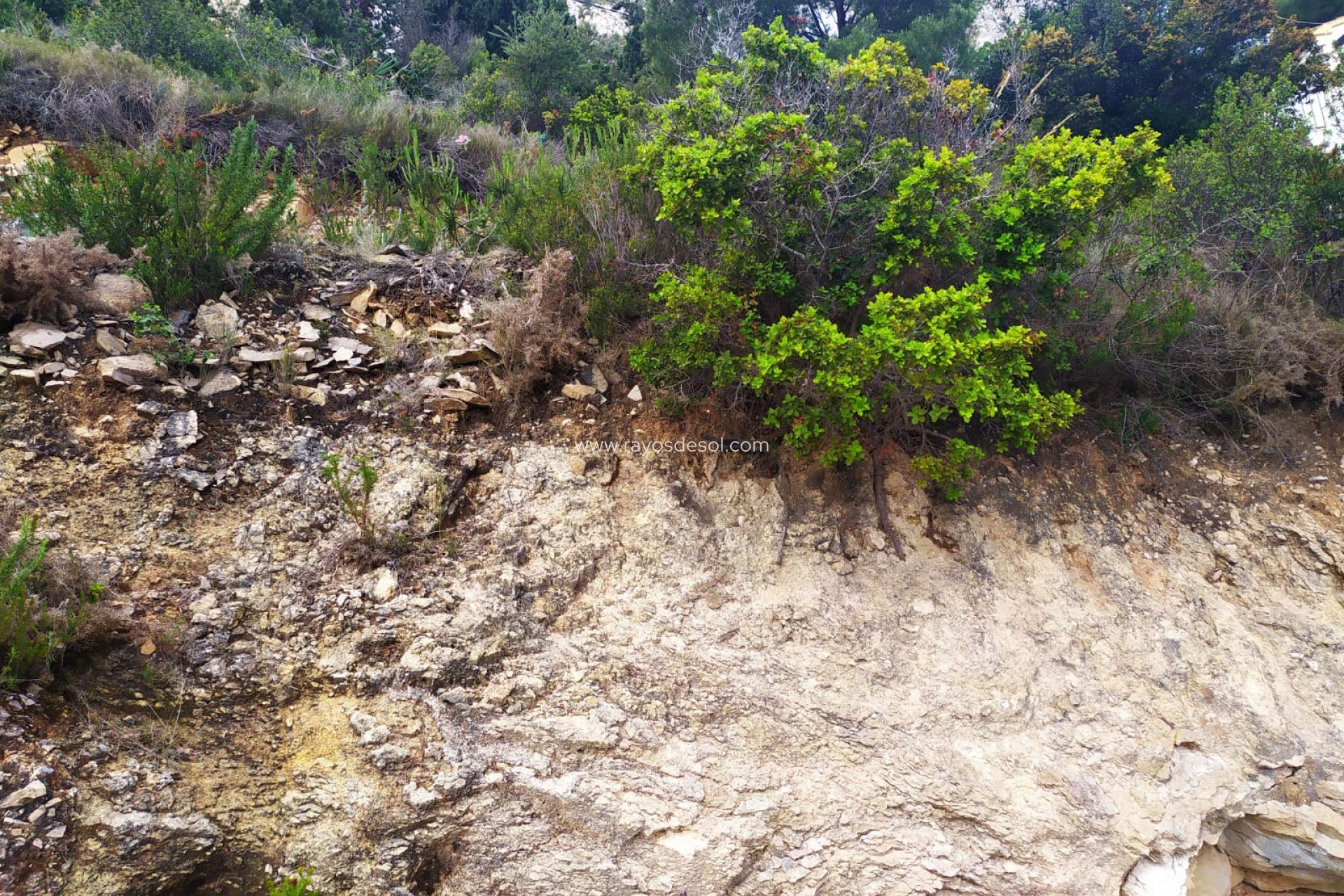 Reventa - Parcela / Terreno - Calpe