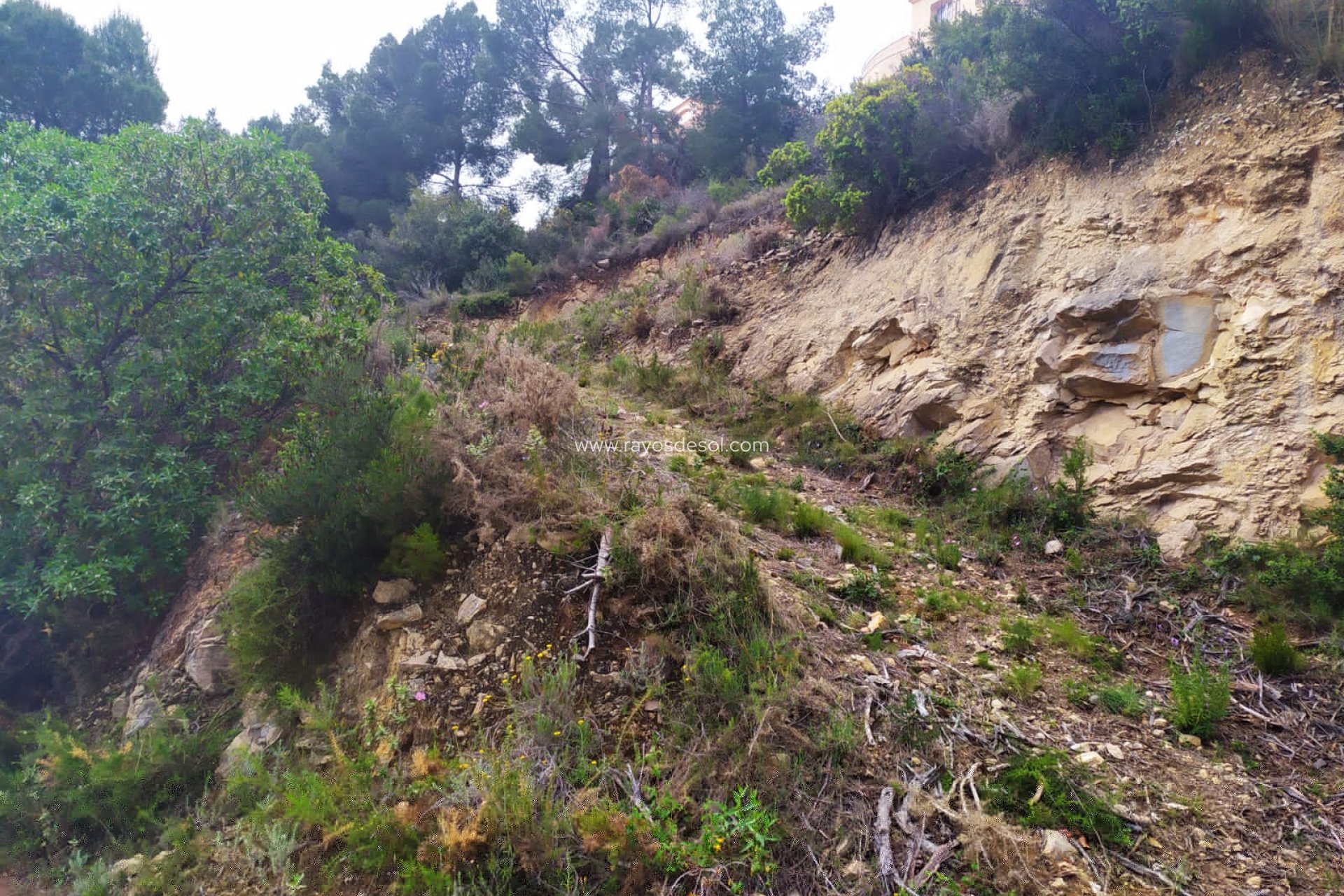 Reventa - Parcela / Terreno - Calpe