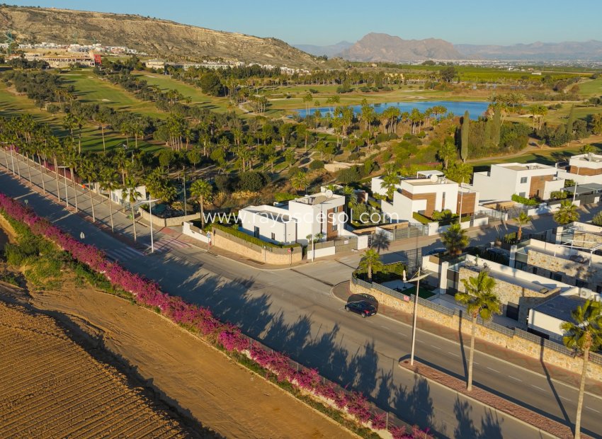 Reventa - Villa - Algorfa - La Finca Golf