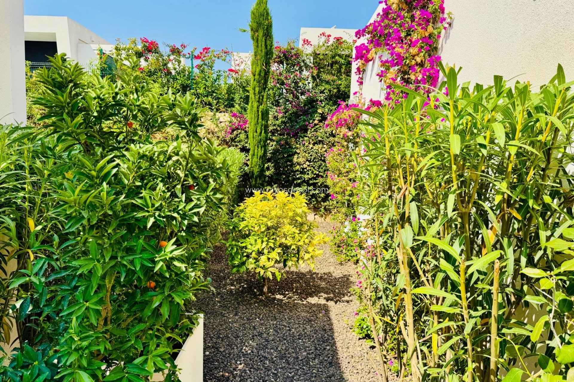 Reventa - Villa - Algorfa - La Finca Golf