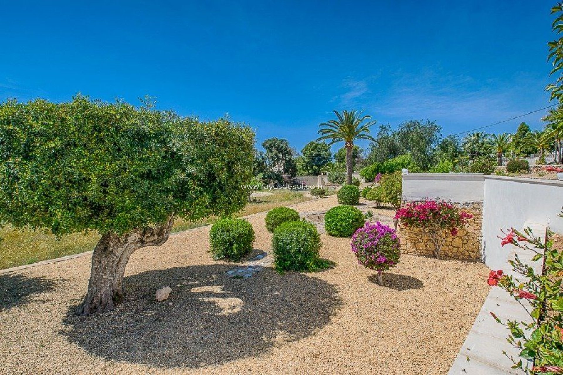 Reventa - Villa - Altea