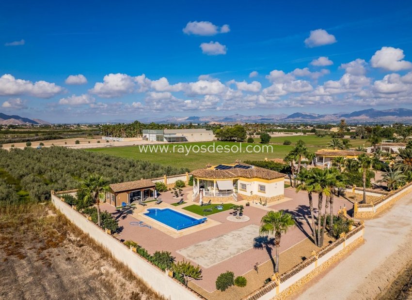 Reventa - Villa - Catral