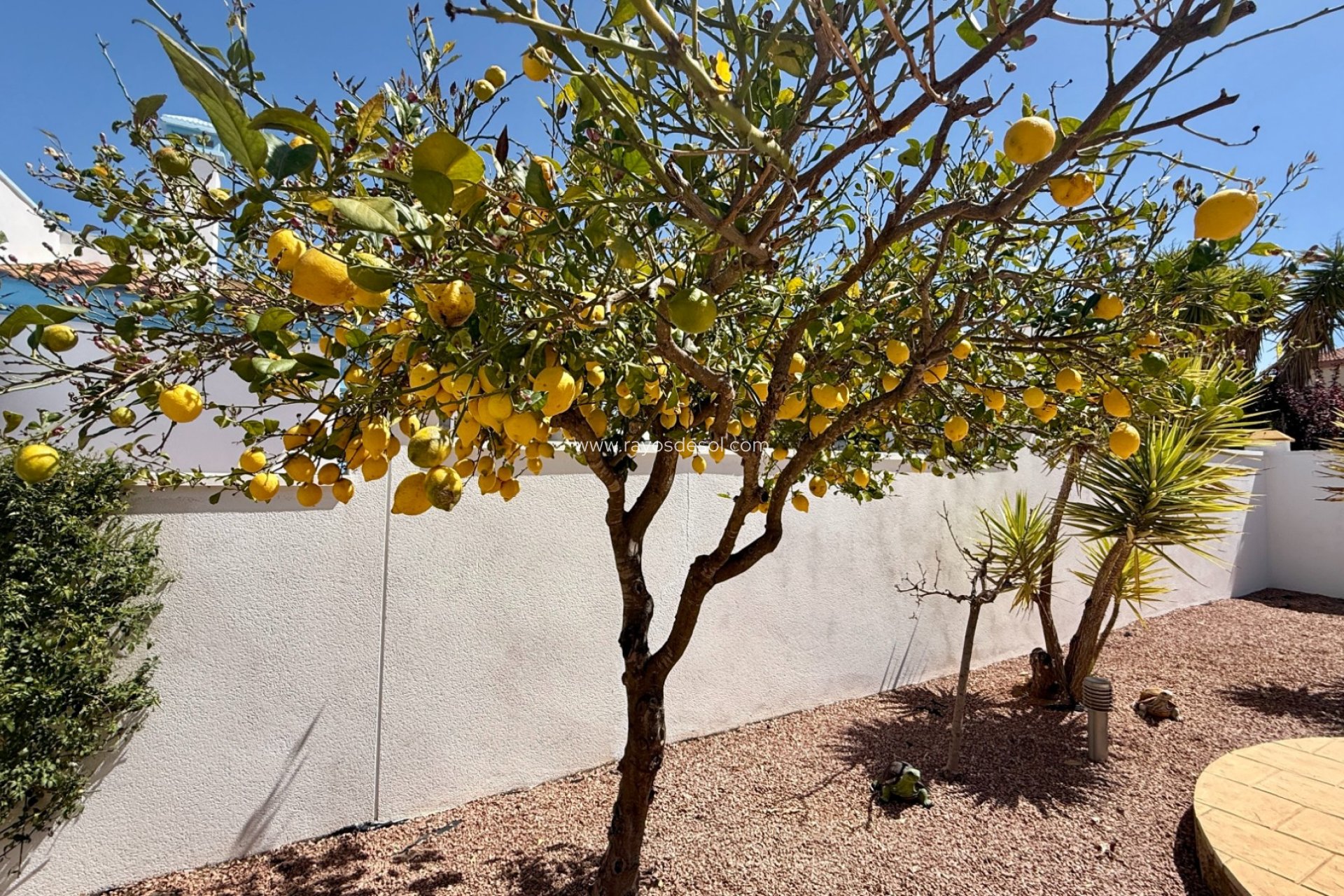 Reventa - Villa - Hondón de las Nieves