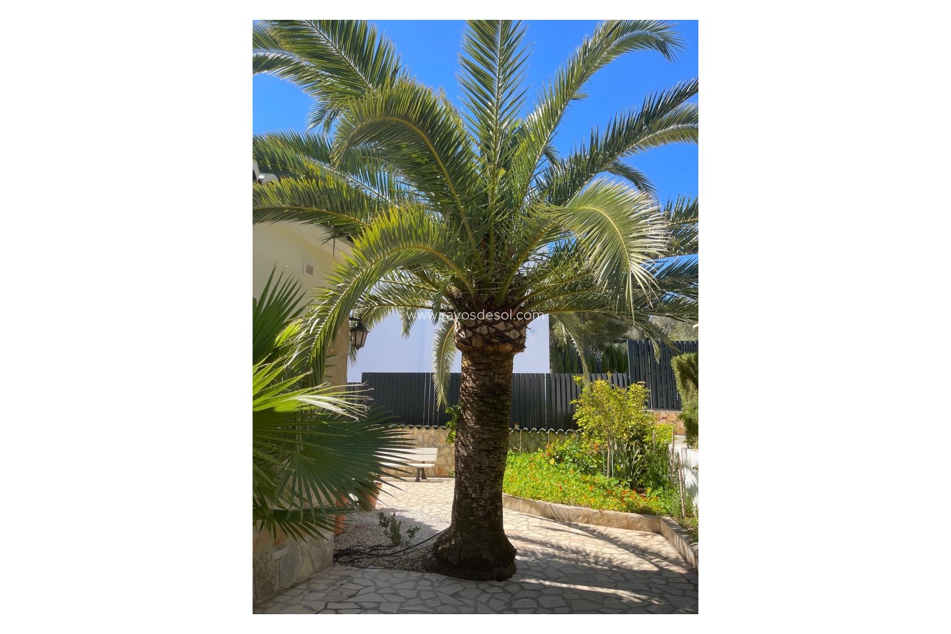 Reventa - Villa - Moraira - Benimeit