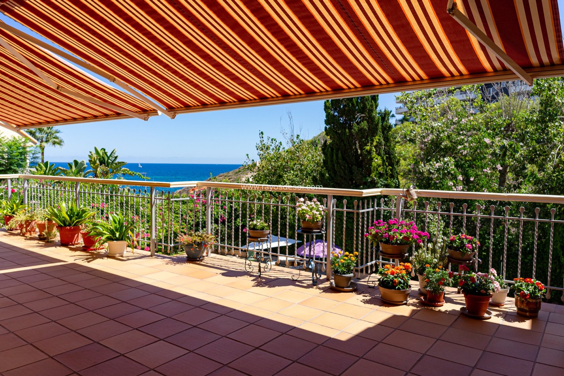 Reventa - Villa - Orihuela Costa - Campoamor