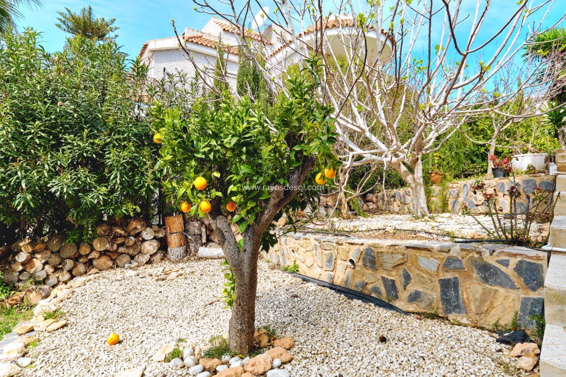 Reventa - Villa - Orihuela Costa - Dehesa de Campoamor