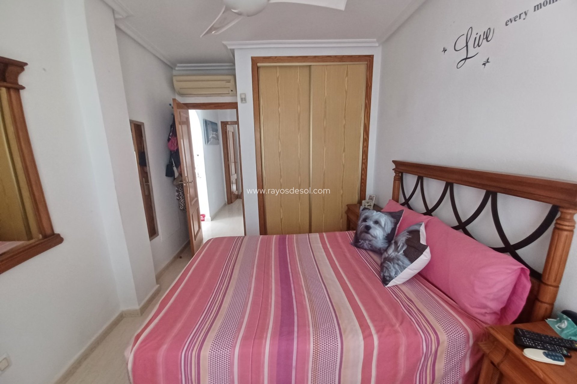 Reventa - Villa - Sucina