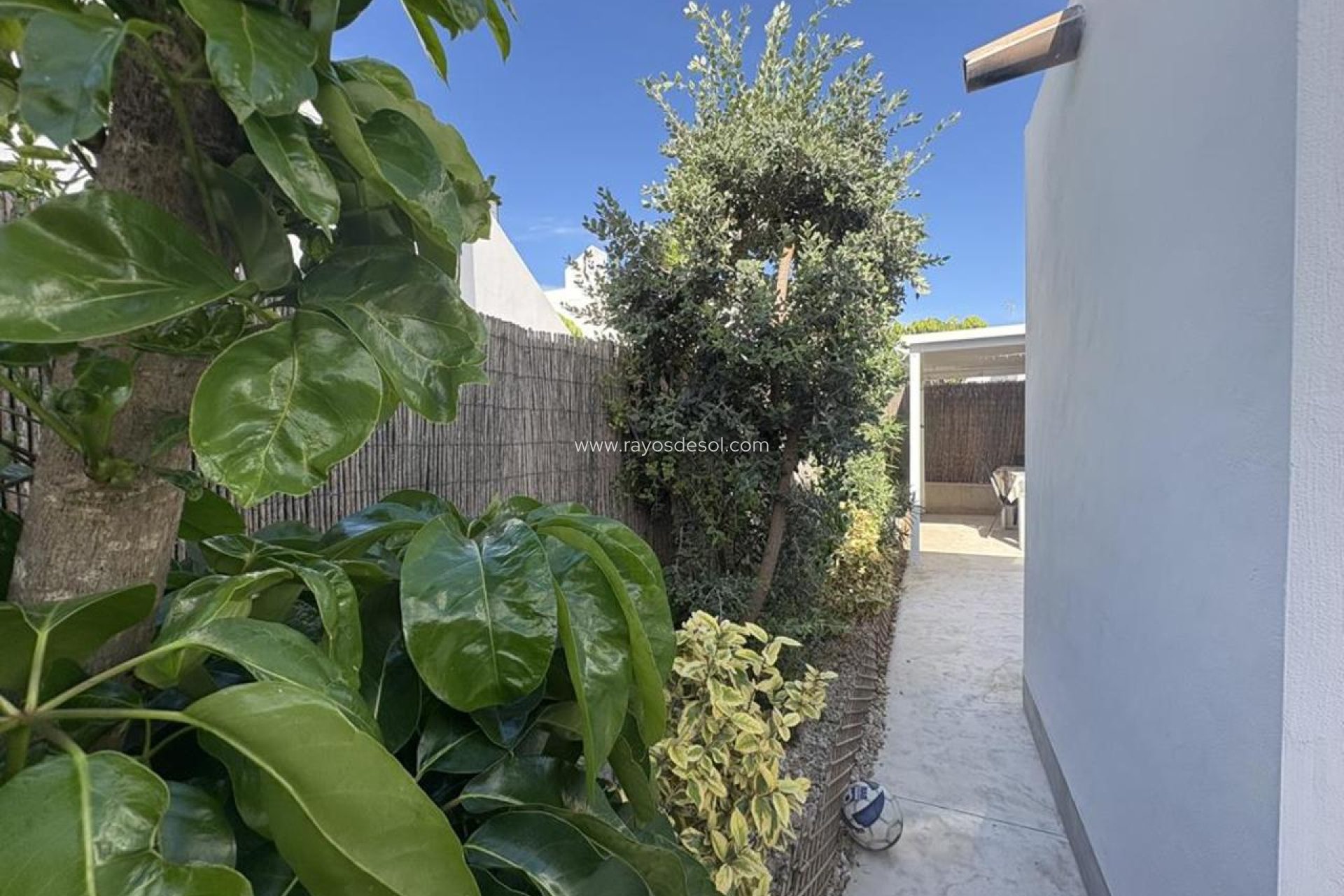 Reventa - Villa - Sucina