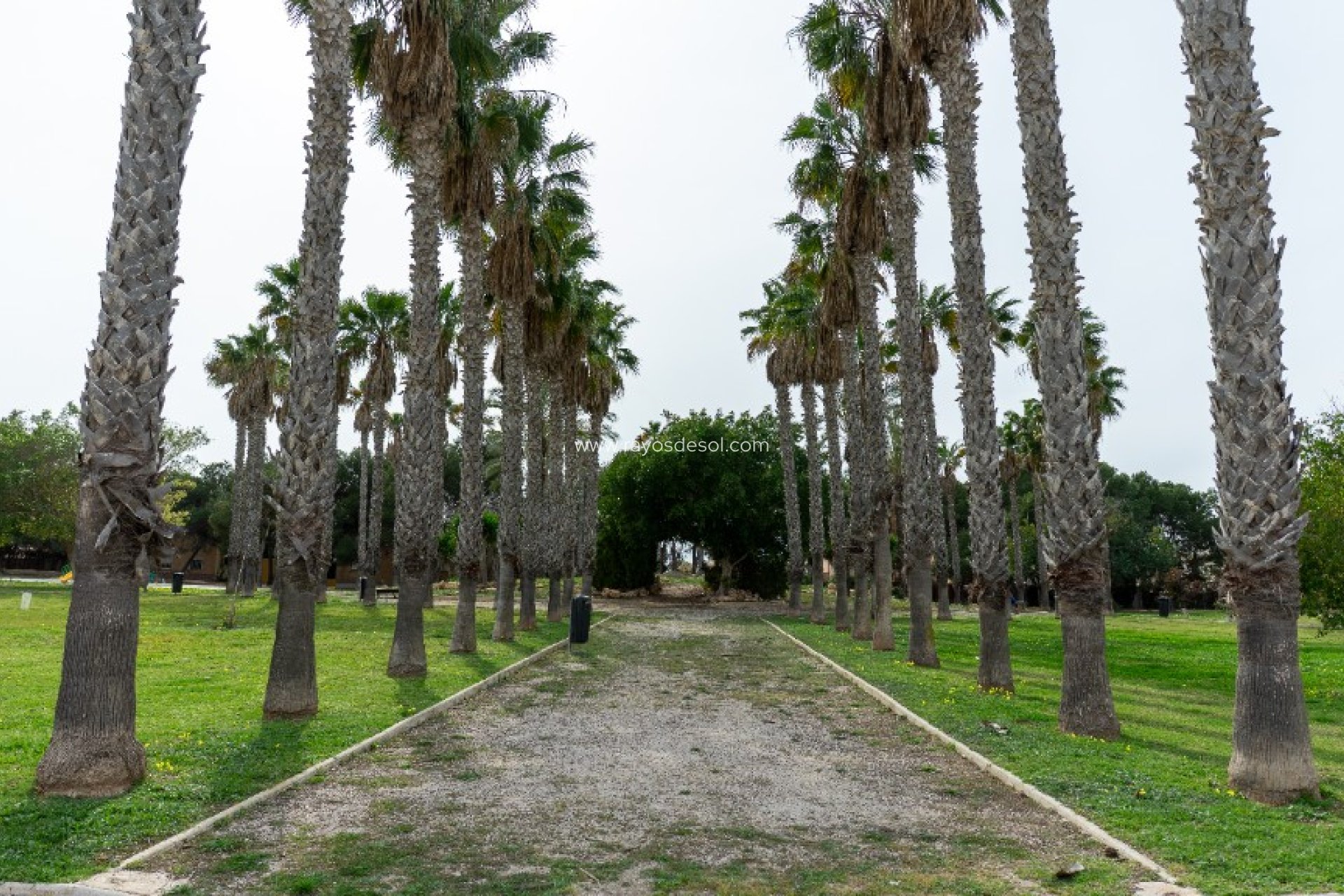 Reventa - Villa - Torrevieja - Los Altos