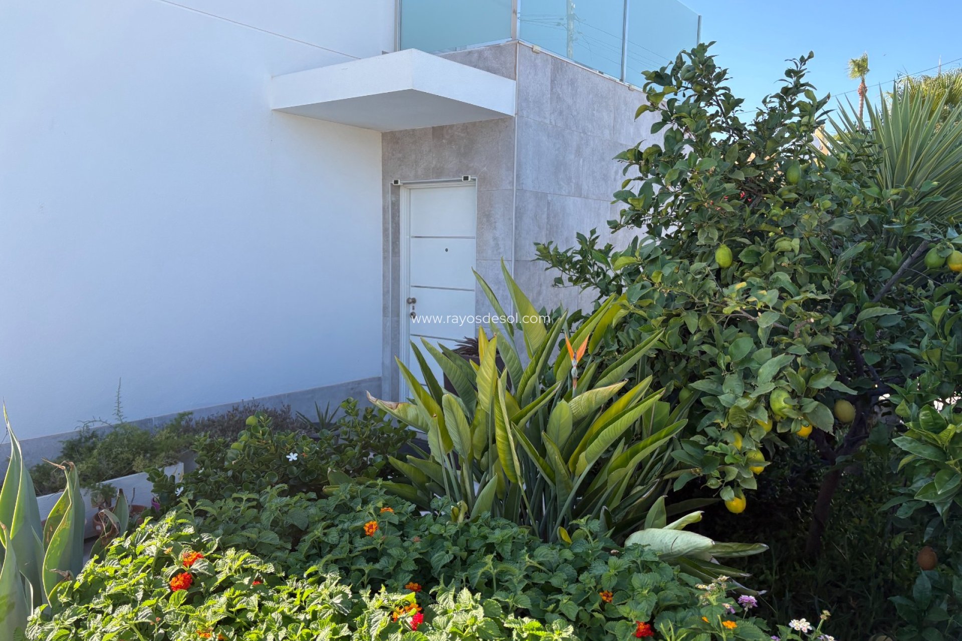 Reventa - Villa - Torrevieja - Torreta - Florida