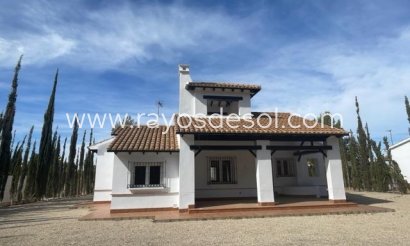 Villa - New Build - Fuente Álamo - NB-25447