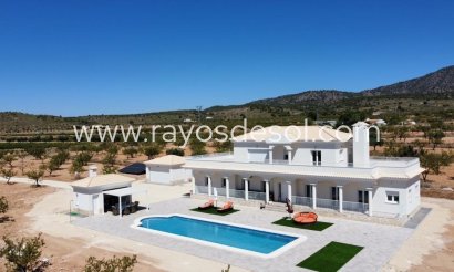 Villa - New Build - Pinoso - Camino Del Prado