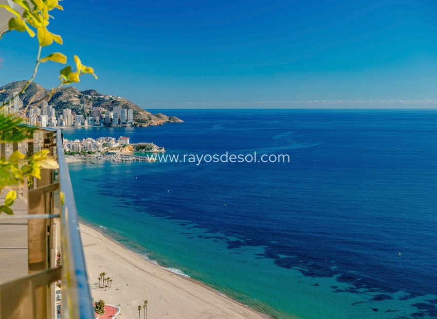 Wiederverkauf - Appartement - Benidorm