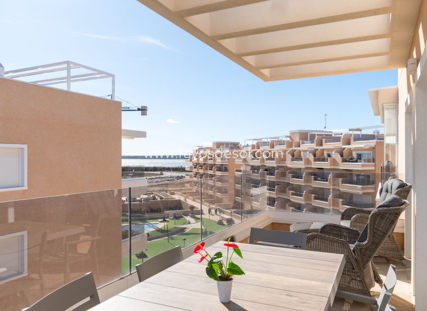 Wiederverkauf - Appartement - Guardamar del Segura - El Raso