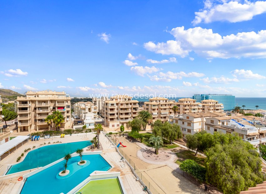 Wiederverkauf - Appartement - Guardamar del Segura - Guardamar Del Segura