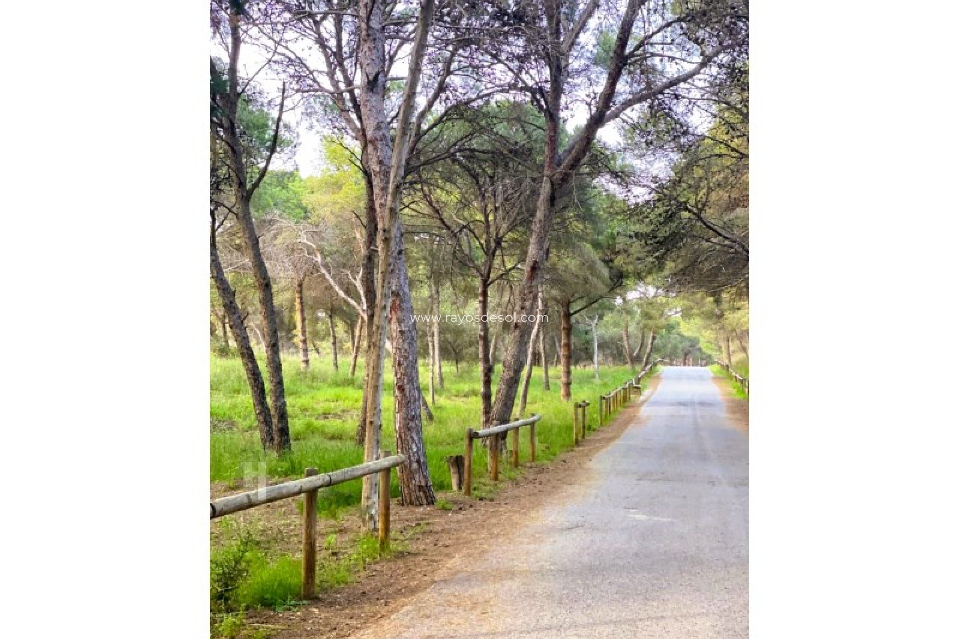 Wiederverkauf - Appartement - Guardamar del Segura - Puerto Deportivo