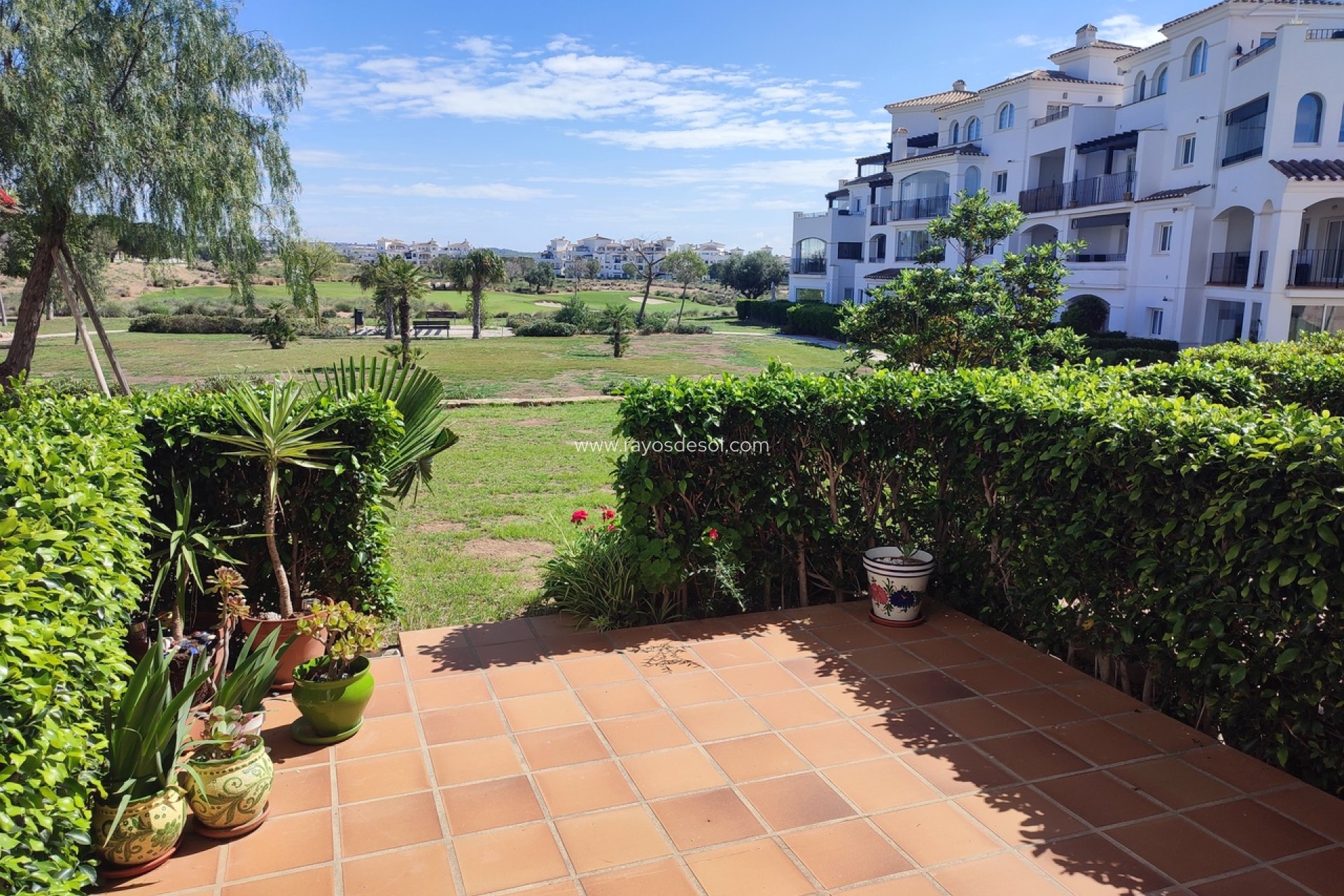 Wiederverkauf - Appartement - Hacienda Riquelme Golf Resort