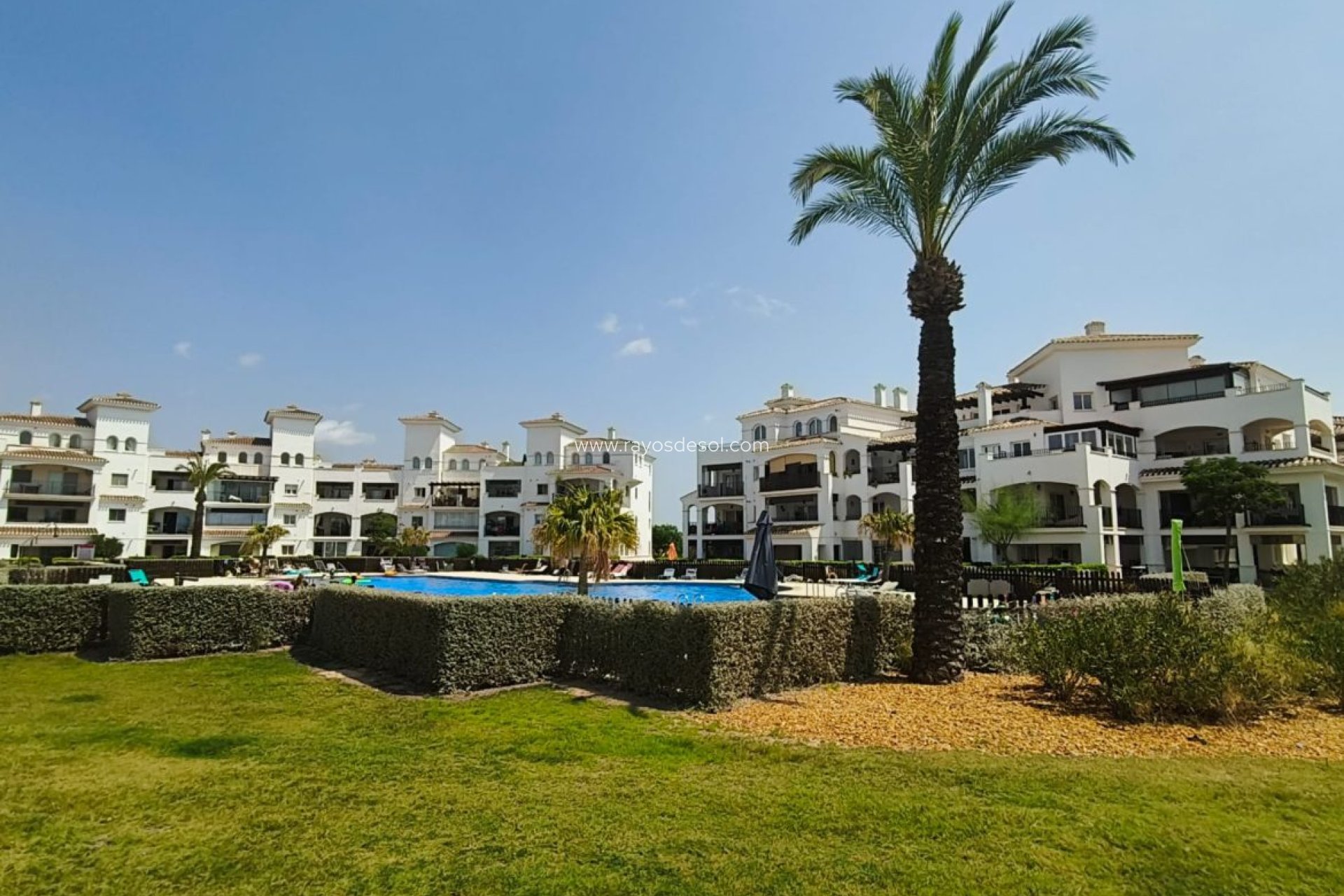 Wiederverkauf - Appartement - Hacienda Riquelme Golf Resort