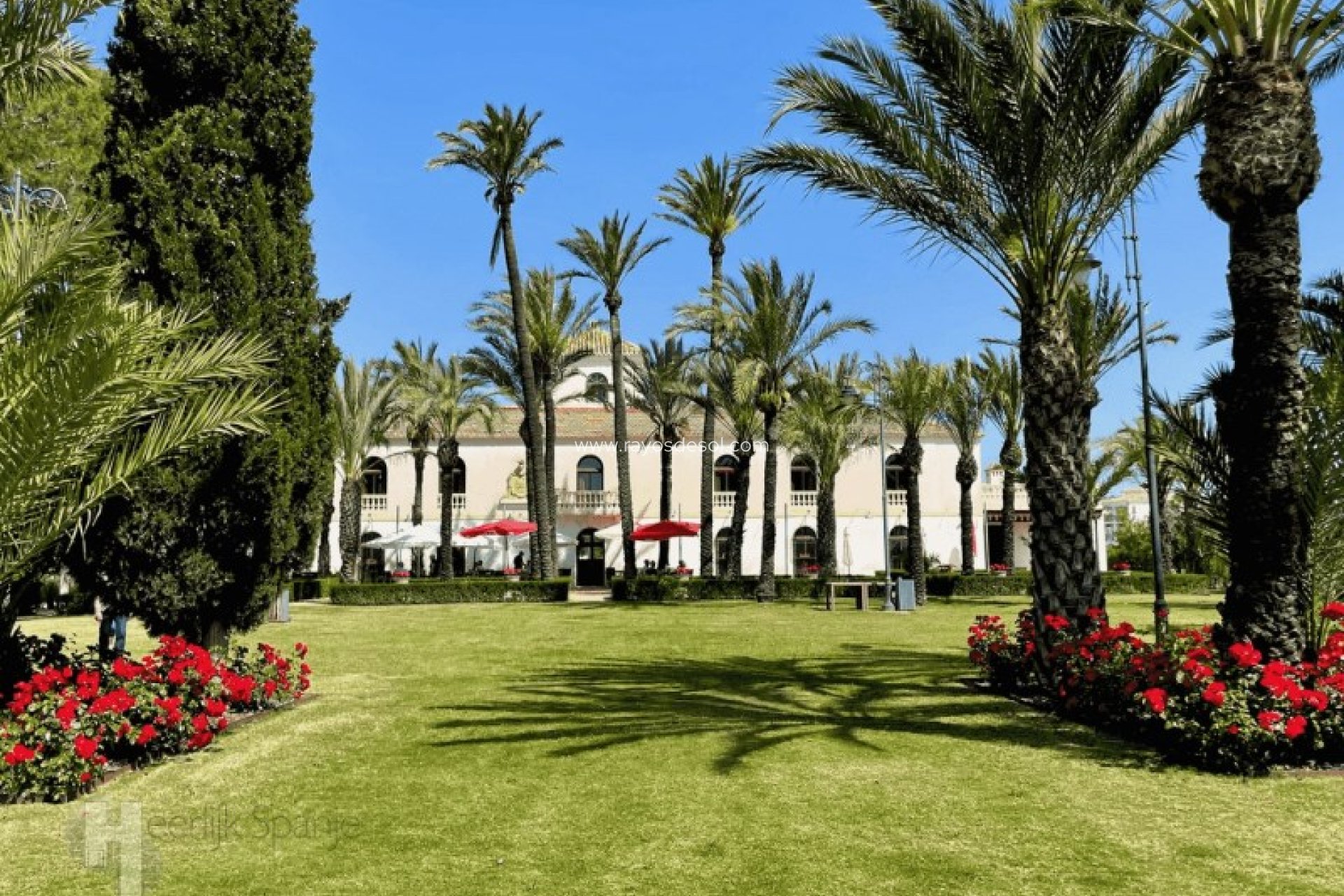 Wiederverkauf - Appartement - Hacienda Riquelme Golf Resort