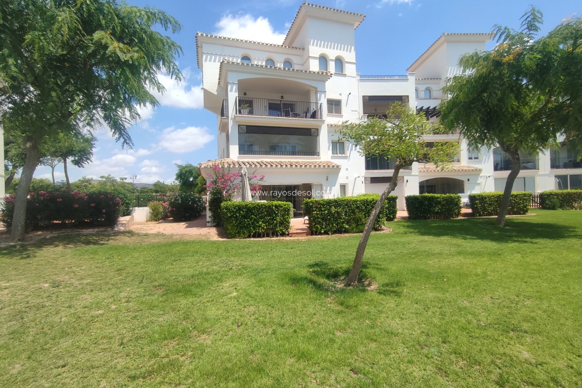 Wiederverkauf - Appartement - Hacienda Riquelme Golf Resort