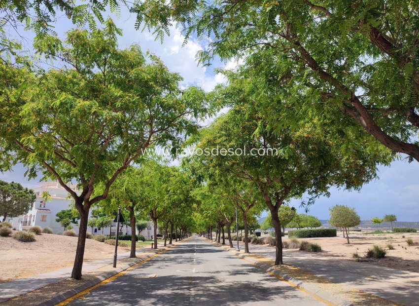 Wiederverkauf - Appartement - Hacienda Riquelme Golf Resort