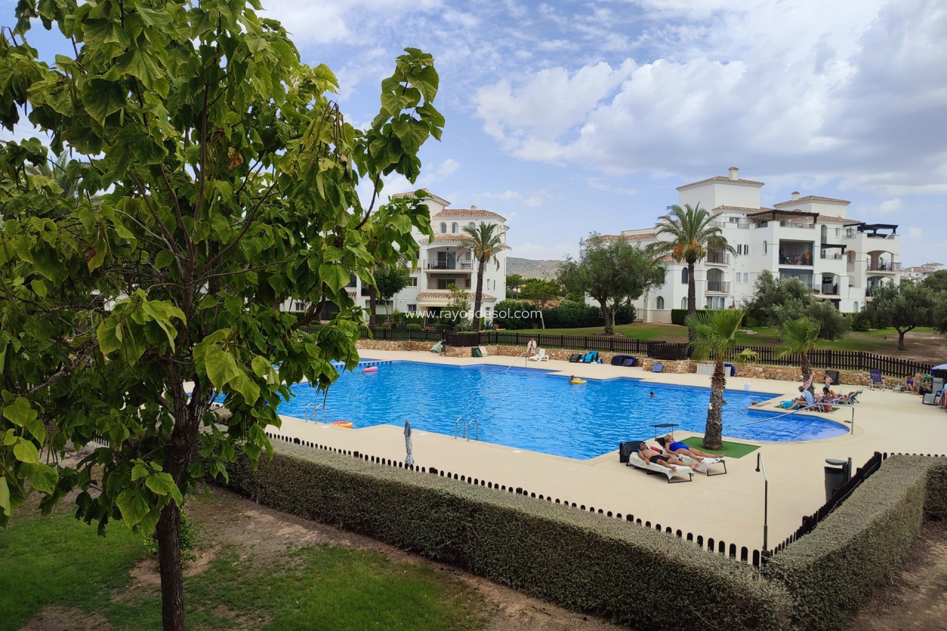 Wiederverkauf - Appartement - Hacienda Riquelme Golf Resort
