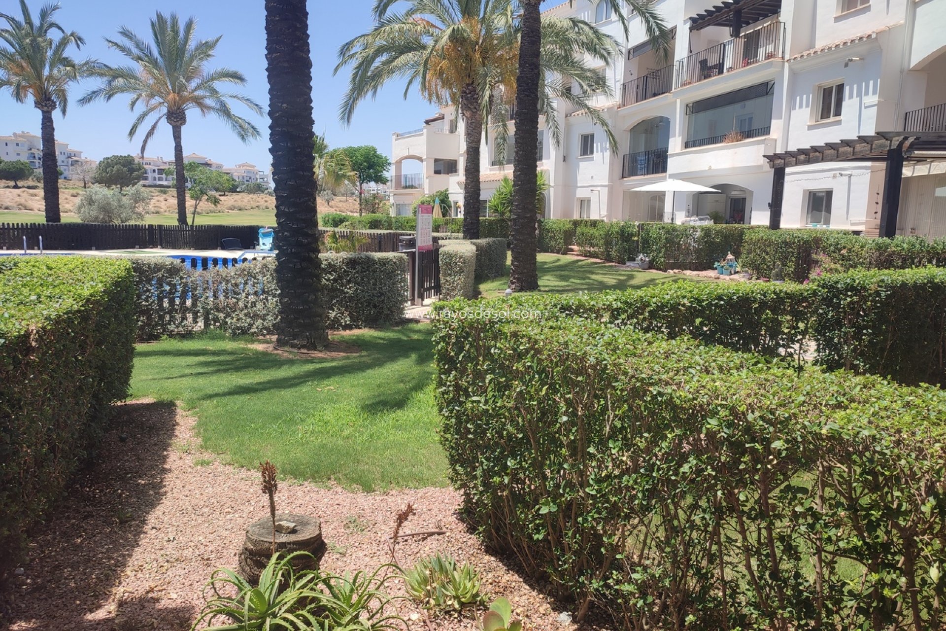 Wiederverkauf - Appartement - Hacienda Riquelme Golf Resort