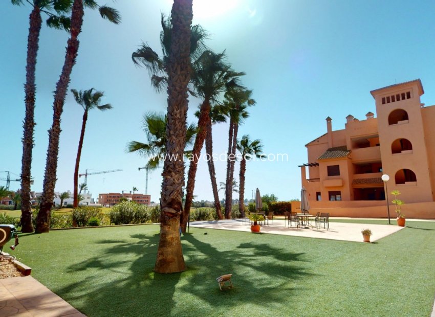 Wiederverkauf - Appartement - La Serena Golf