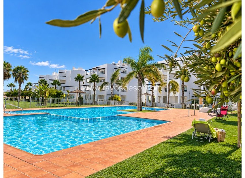 Wiederverkauf - Appartement - Las Terrazas de la Torre