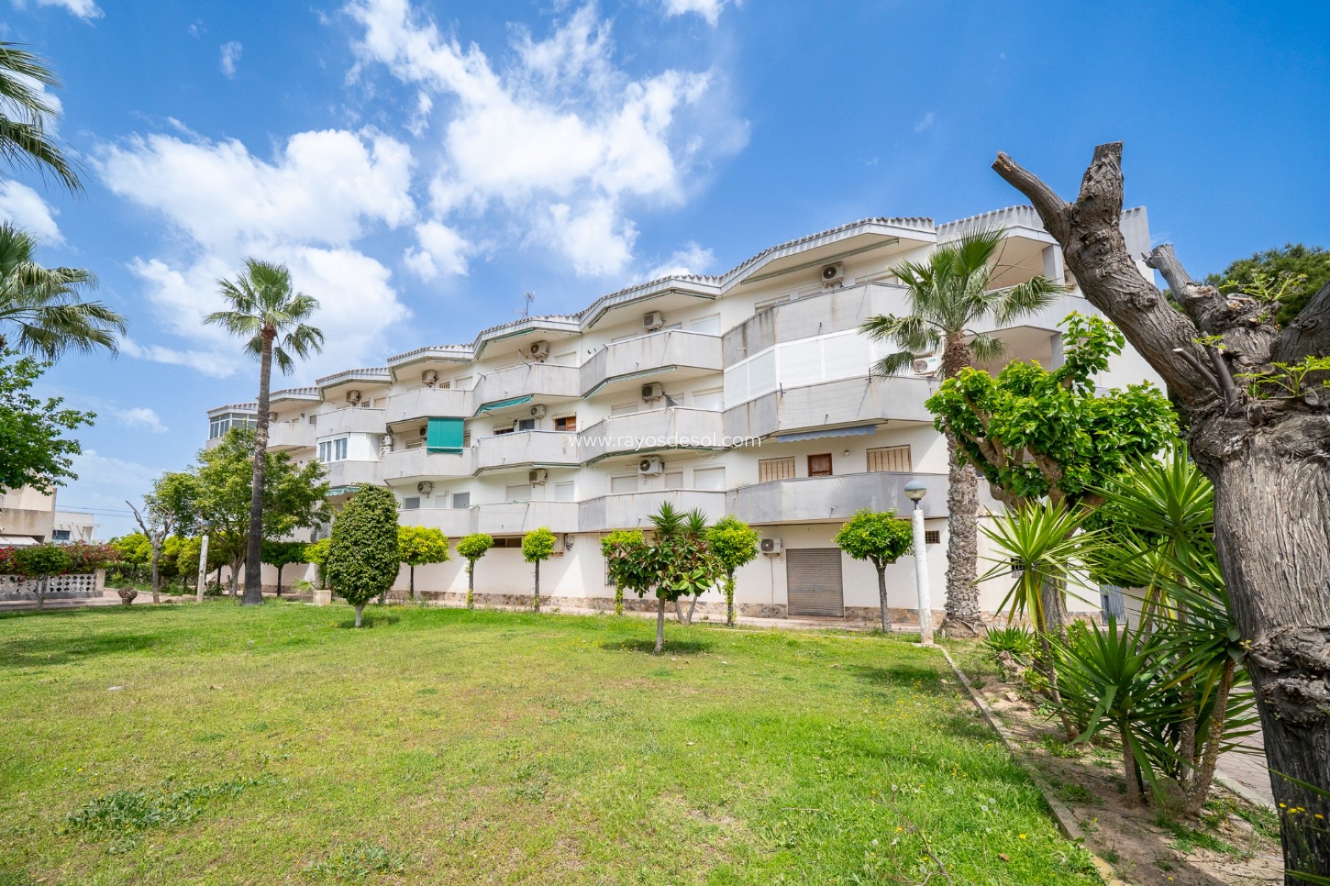 Wiederverkauf - Appartement - Orihuela Costa - Cabo roig - La Zenia