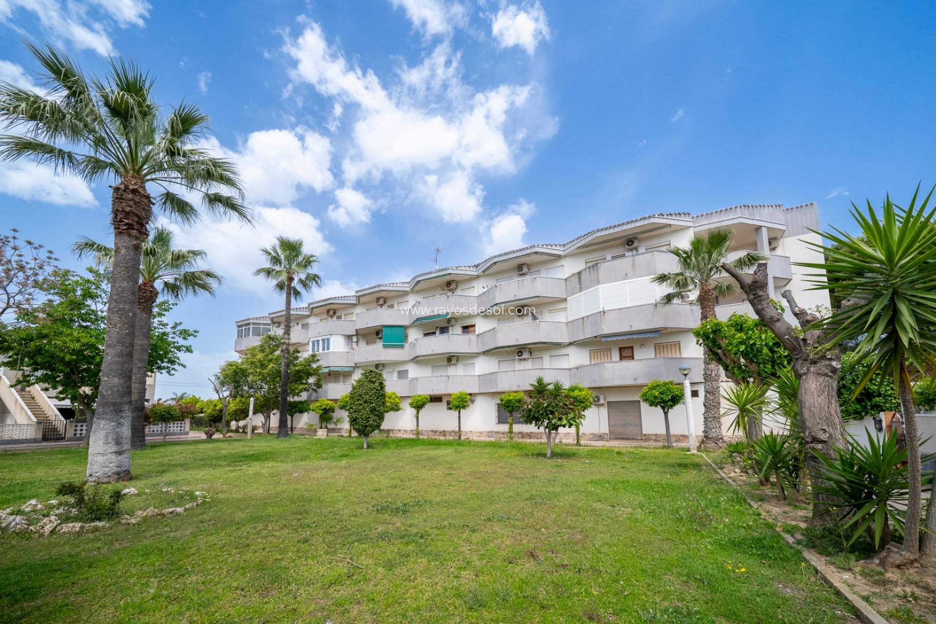 Wiederverkauf - Appartement - Orihuela Costa - Cabo roig - La Zenia