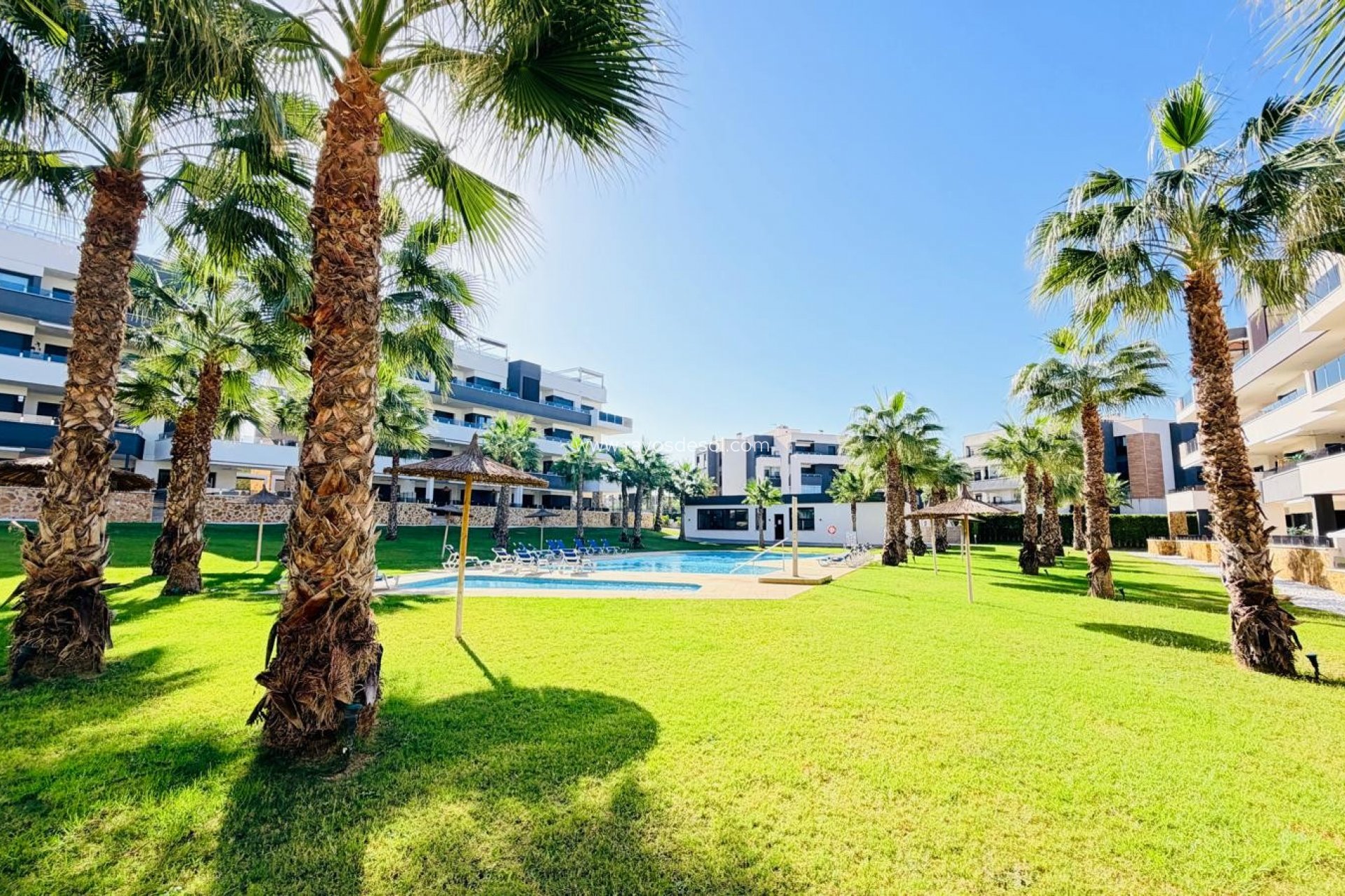 Wiederverkauf - Appartement - Orihuela Costa - Los Altos