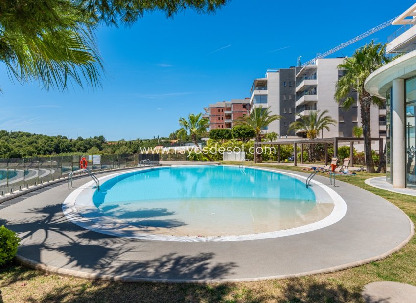 Wiederverkauf - Appartement - Orihuela Costa - Los Dolses