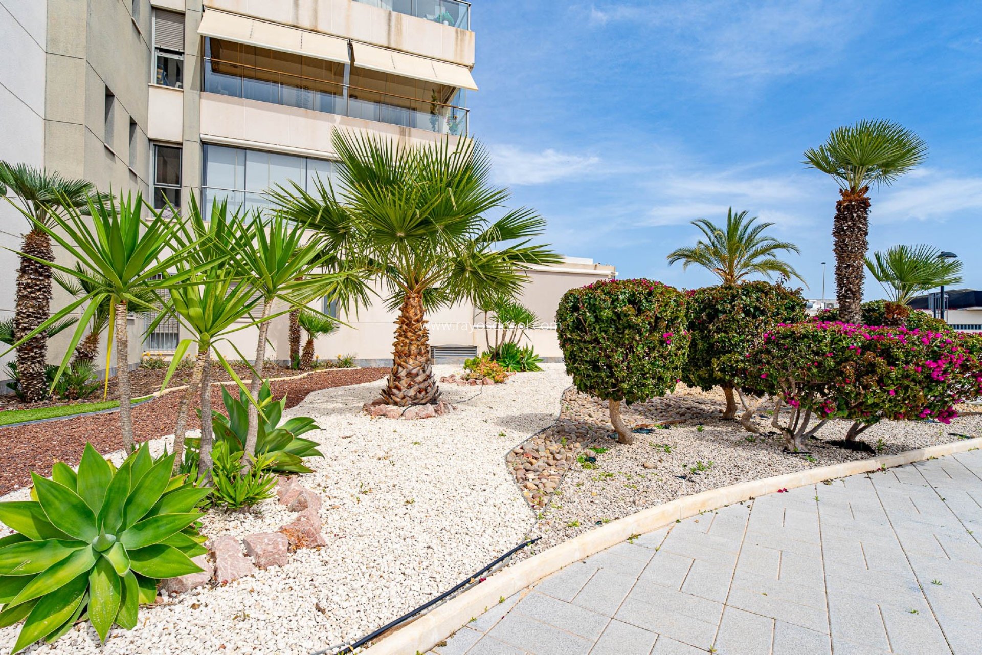 Wiederverkauf - Appartement - Orihuela Costa - Los Dolses