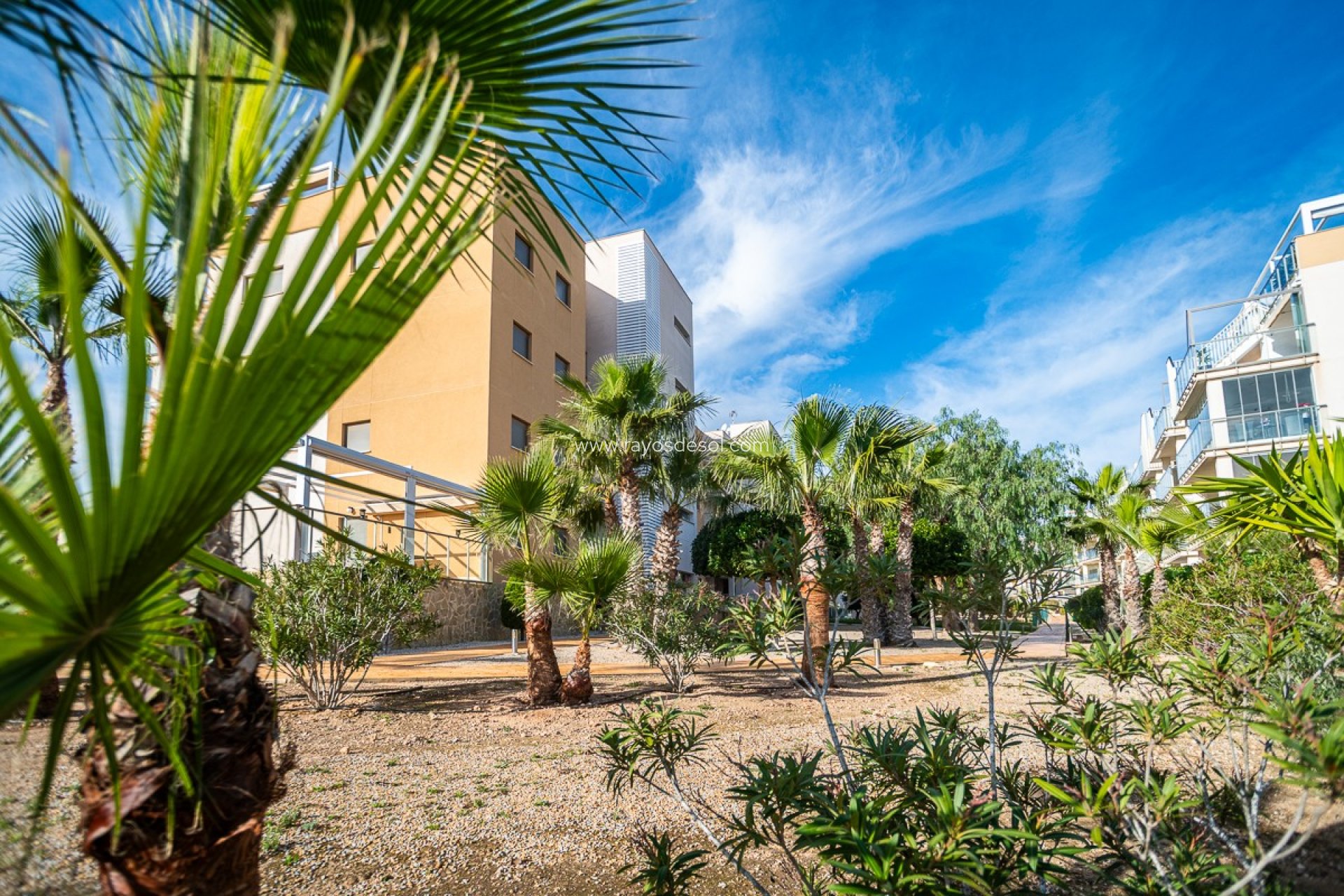 Wiederverkauf - Appartement - Orihuela Costa - Los Dolses