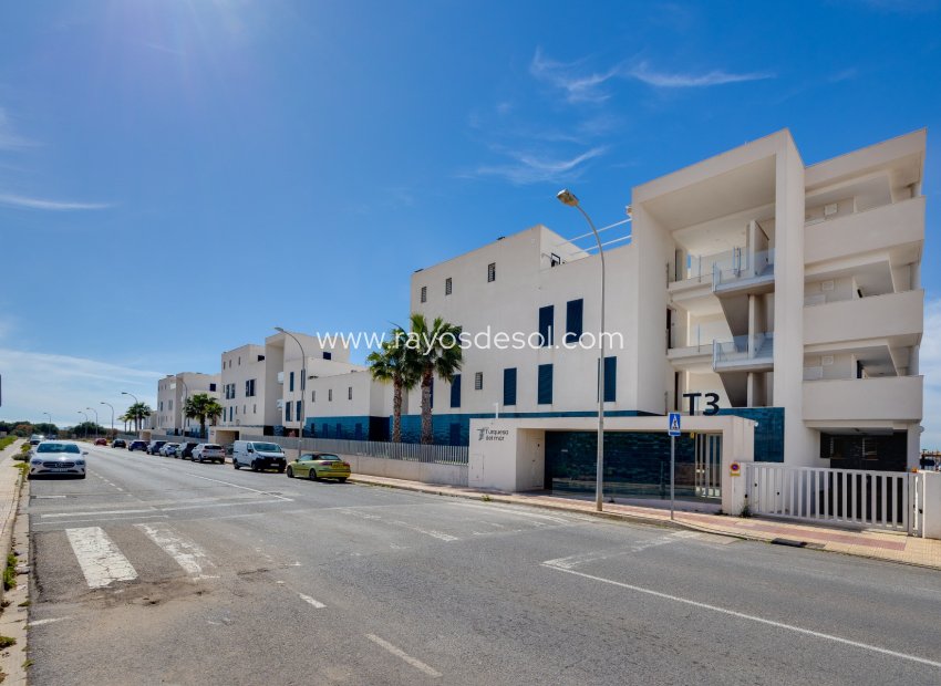Wiederverkauf - Appartement - Orihuela Costa - Playa Flamenca