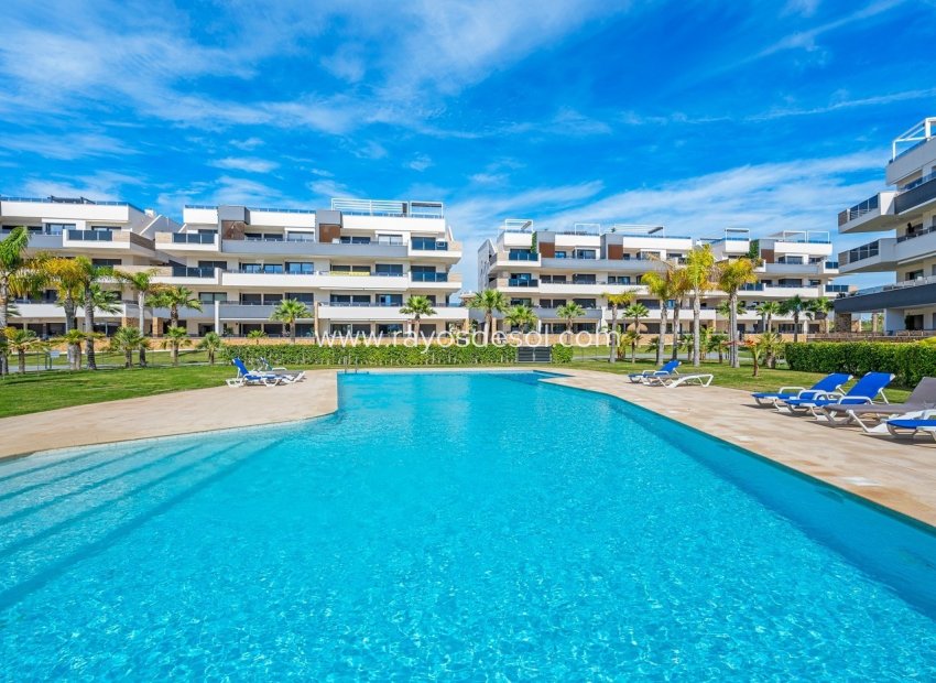 Wiederverkauf - Appartement - Orihuela Costa - Playa Flamenca