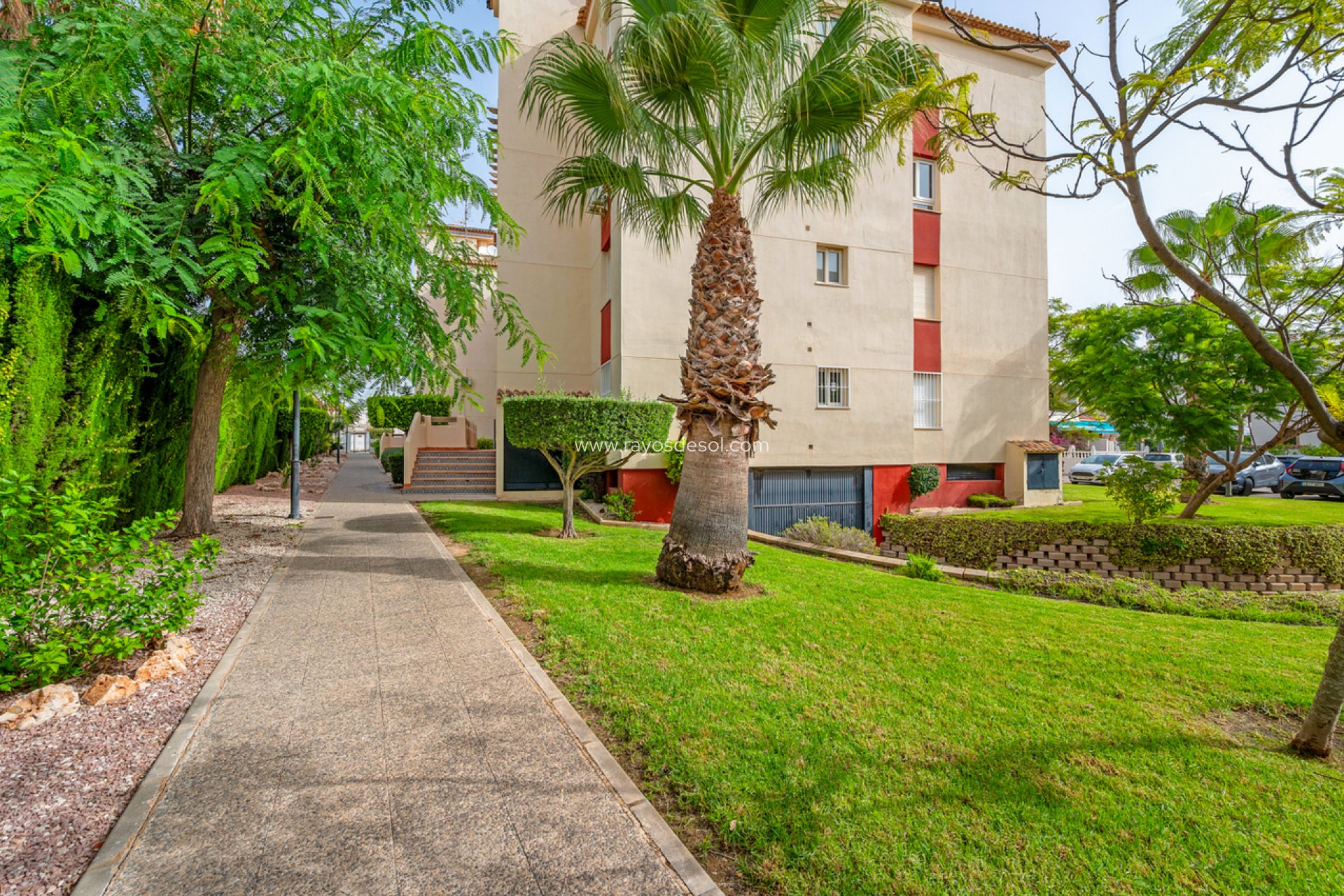 Wiederverkauf - Appartement - Orihuela Costa - Playa Flamenca