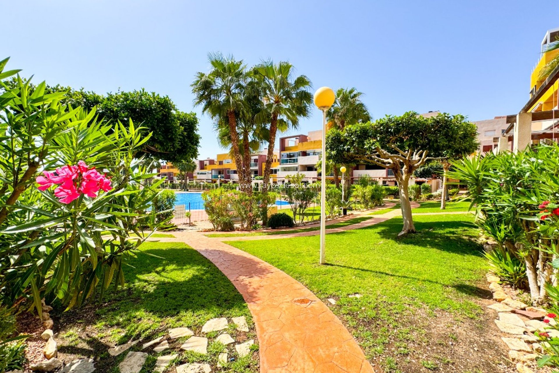 Wiederverkauf - Appartement - Orihuela Costa - Playa Flamenca