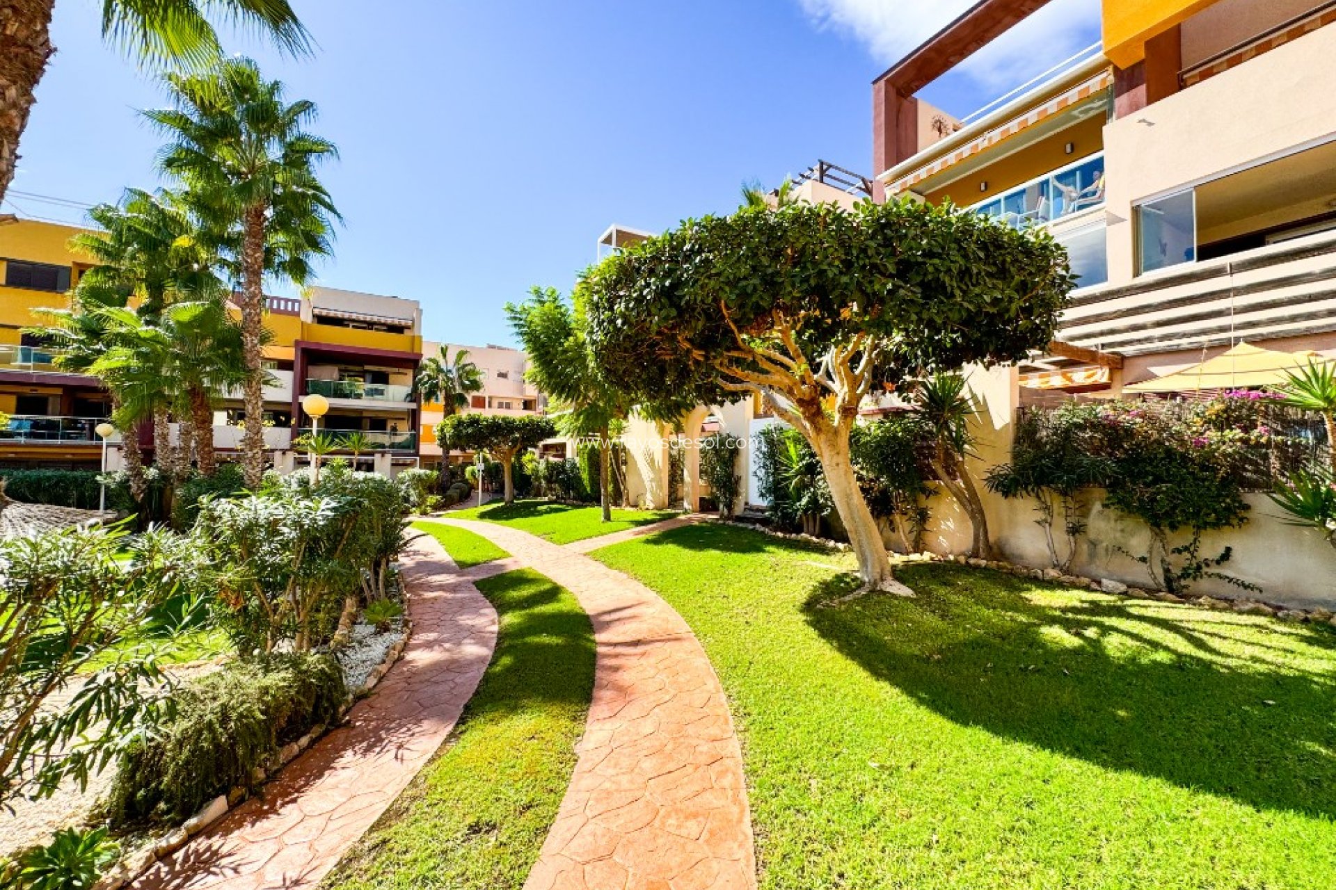 Wiederverkauf - Appartement - Orihuela Costa - Playa Flamenca