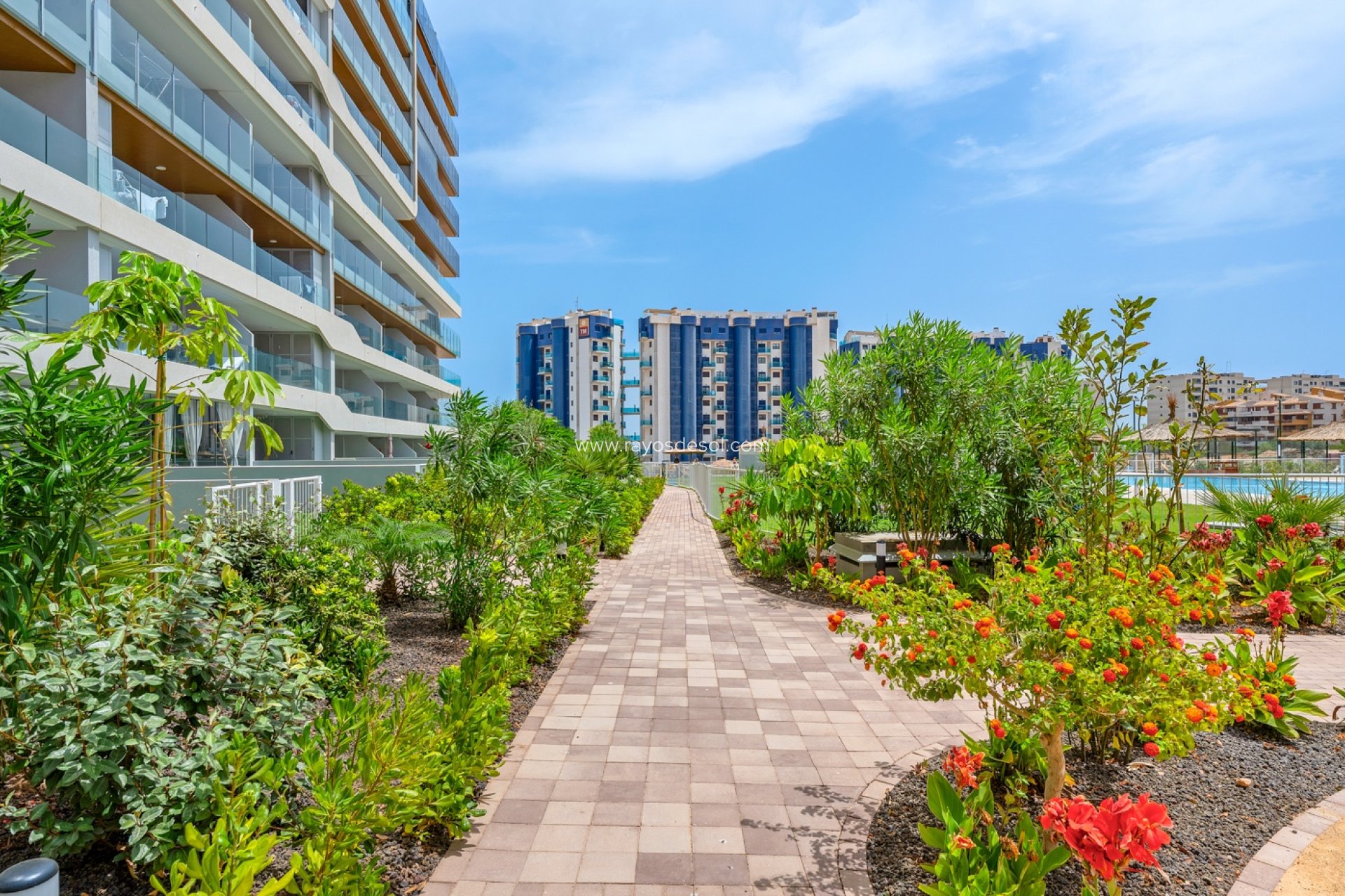 Wiederverkauf - Appartement - Orihuela Costa - Punta Prima