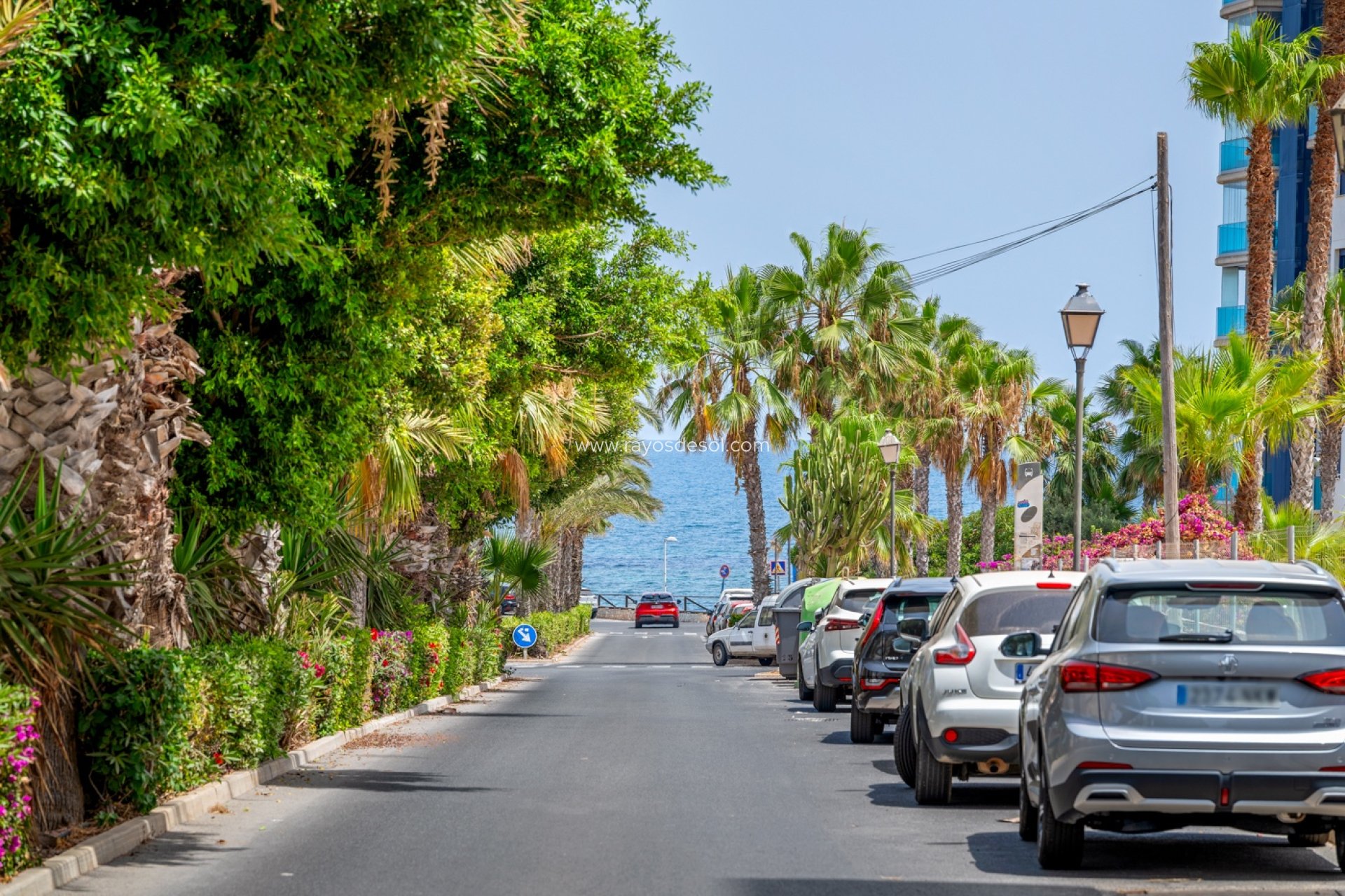 Wiederverkauf - Appartement - Orihuela Costa - Punta Prima