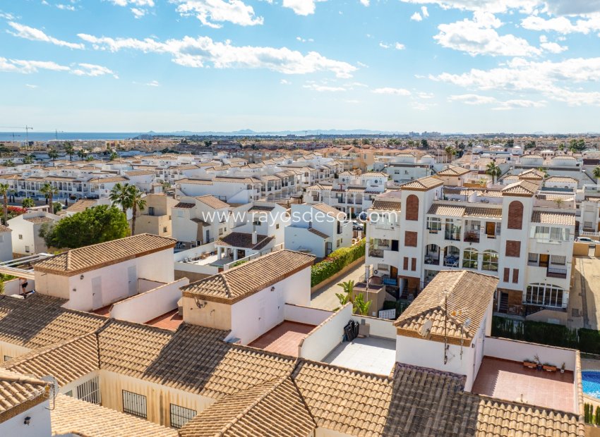 Wiederverkauf - Appartement - Orihuela Costa - Punta Prima