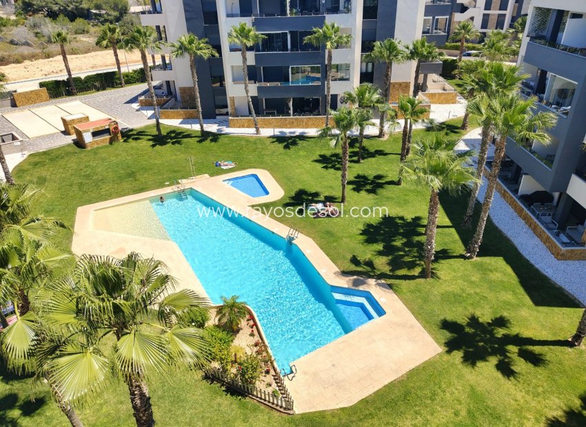 Wiederverkauf - Appartement - Orihuela Costa - Torrevieja